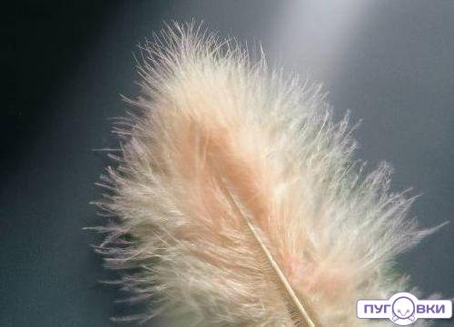 63820002 Перья марабу Glorex