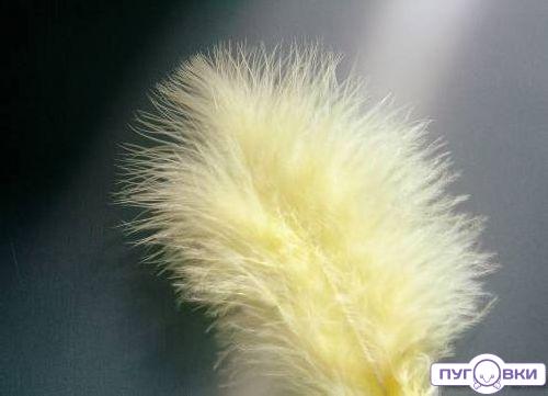 63820003 Перья марабу Glorex