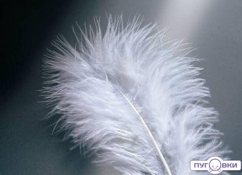 63820001 Перья марабу Glorex