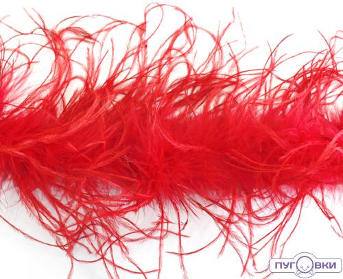 Боа, страус