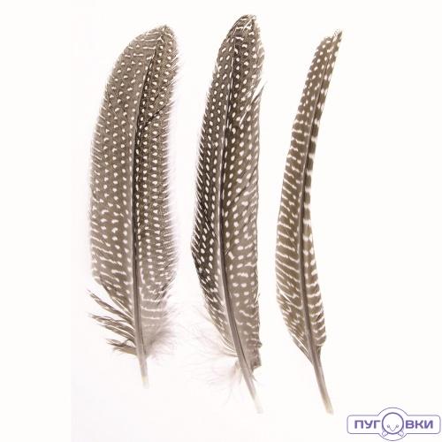 63822101 Перья цесарки 2г Glorex