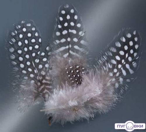 63823002 Перья цесарки декоративныеGlorex